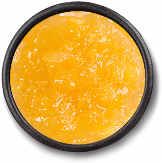 Dulce de Leche Heladero